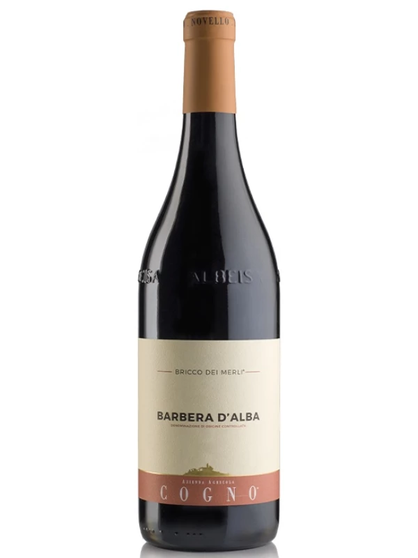 Elvio Cogno, Bricco dei Merli Barbera d'Alba DOC
