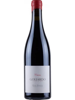 Вино Forjas Del Salnes, Goliardo, Rias Baixas DO 2013, 0.75 л