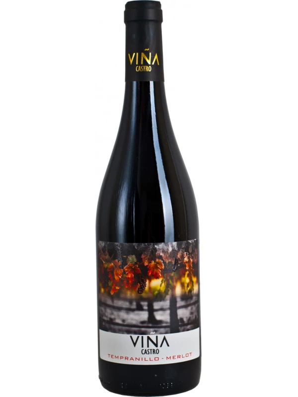 Vina Castro Tempranillo-Merlot