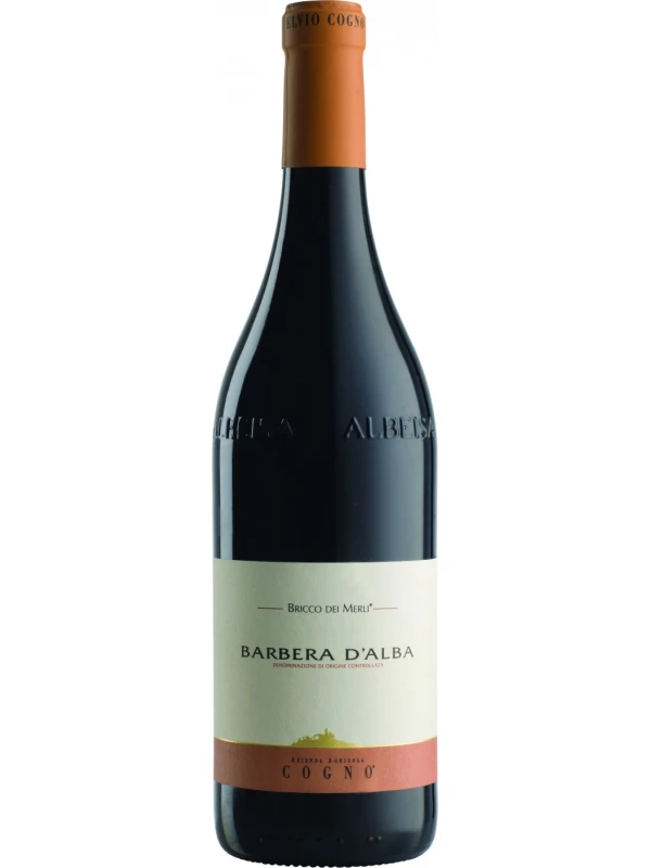Elvio Cogno, Bricco dei Merli Barbera d'Alba DOC