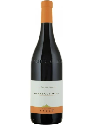 Вино Elvio Cogno, Bricco dei Merli Barbera d'Alba DOC 2009, 0.75 л