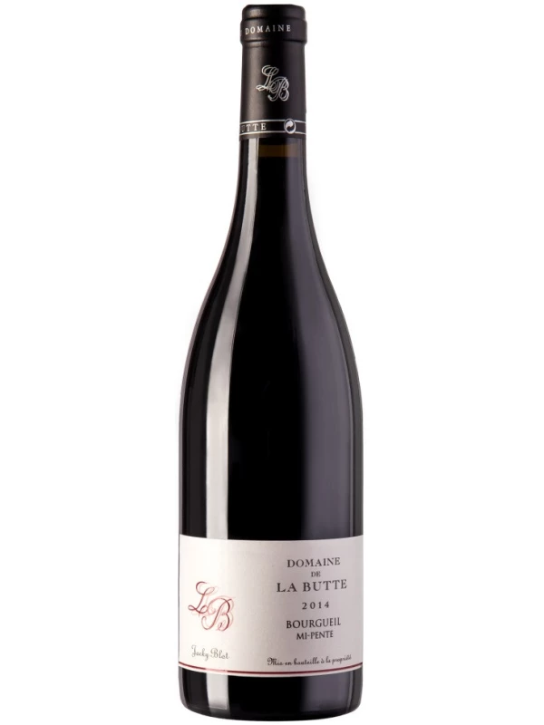 Domaine de la Butte, Mi-Pente, Bourgueil AOC