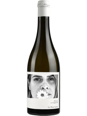 Вино Il Poggiarello, La Malvagia Malvasia, Emilia IGT 2022, 0.75 л