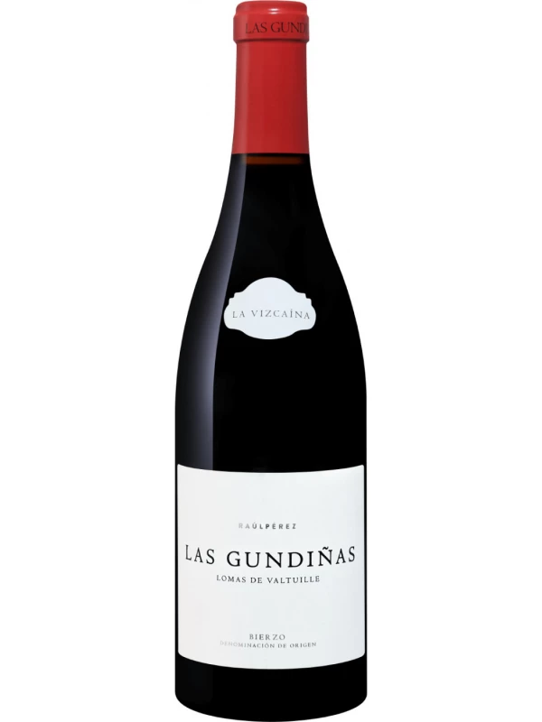 Raul Perez, La Vizcaina Las Gundinas, Bierzo DO