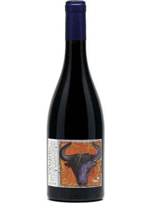Вино Les Vignerons d'Estezargues, Domaine D'Andezon, Cotes-du-Rhone Villages AOC 2019, 0.75 л