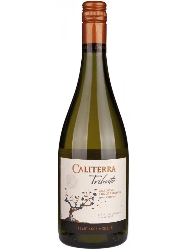 Caliterra, Chardonnay Tributo DO