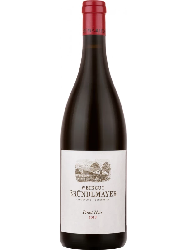 Weingut Brundlmayer, Pinot Noir (Blauburgunder)