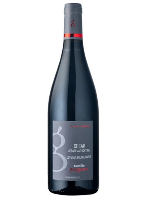 Celine & Frederic Gueguen, Cesar Coteaux Bourguignons AOC