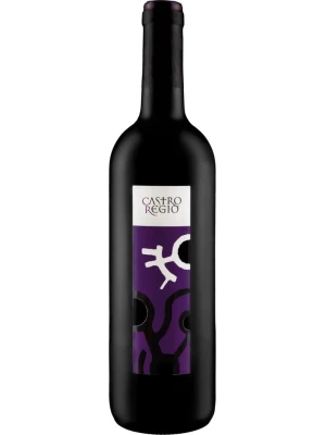 Вино Castro Regio Red Dry 0.75 л