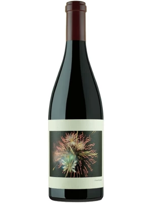 Вино Chanin Wine, Sanford & Benedict Vineyard Pinot Noir 2019, 0.75 л