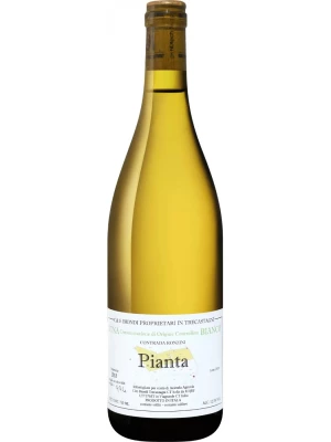 Вино Ciro Biondi, Pianta, Etna DOC 2018, 0.75 л