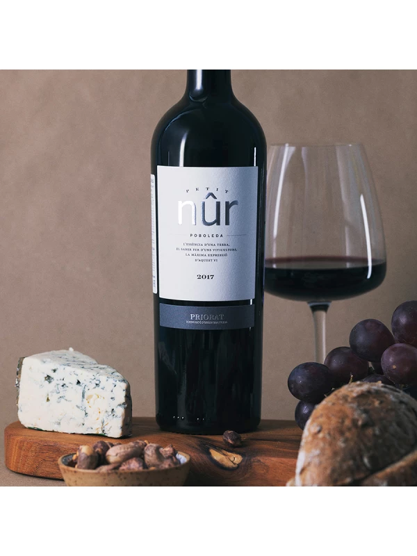 Petit Nur Crianza Priorat