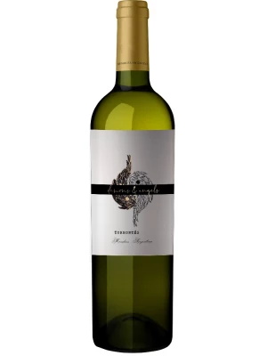 Вино Demons & Angels Torrontes 2024, 0.75 л