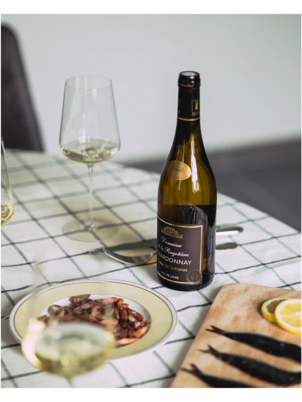 Domaine de la Ragotiere, Coeur de Schistes Chardonnay, Val de Loire IGP