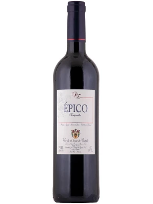 Вино Dominio de Eguren, Epico 2021, 0.75 л