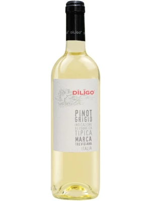 Вино Anna Spinato, Pinot Grigio Diligo IGT 2020, 0.75 л