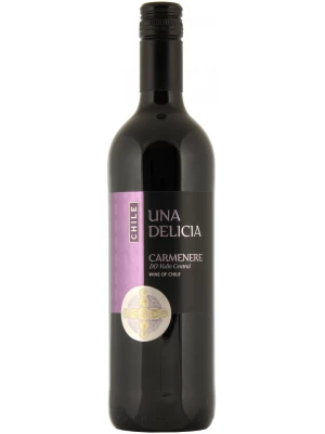 Вино Vinedos Puertas, Una Delicia Carmenere, Valley Central DO 2020, 0.75 л