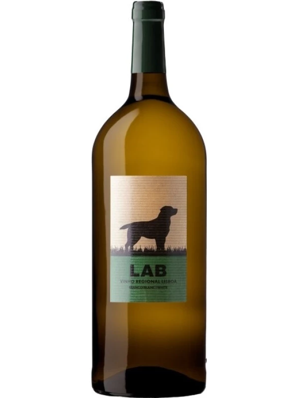 Casa Santos Lima, Lab White