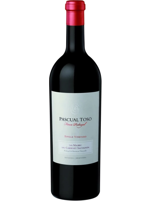 Pascual Toso, Finca Pedregal Single Vineyard