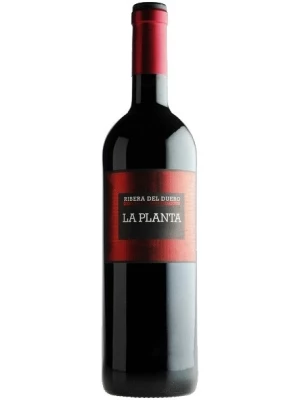 Вино Arzuaga Navarro, La Planta, Ribera del Duero DO 2023, 0.75 л