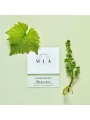 Domaine MIA, Les Rochelles Mercurey AOC — фото 3