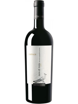 Вино Cantina Diomede, Canace Nero di Troia, Puglia IGP 2022, 0.75 л