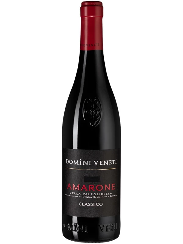 Domini Veneti Amarone della Valpolicella Classico DOC