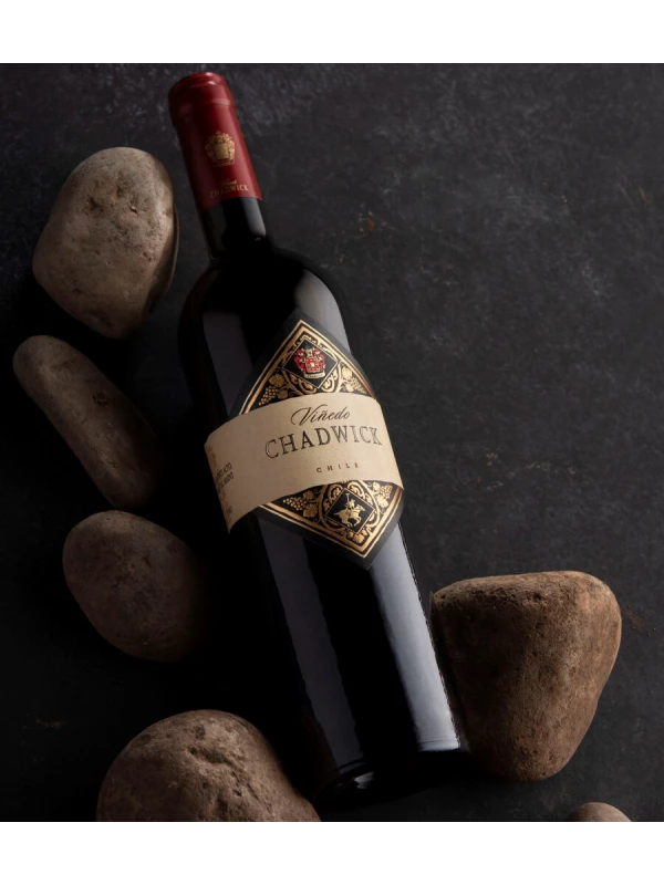 Vinedo Chadwick, Valle de Maipo DO