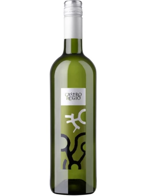 Вино Castro Regio White Dry 0.75 л