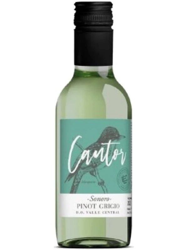 Luis Felipe Edwards, Cantor Sonoro Pinot Grigio, Central Valley DO