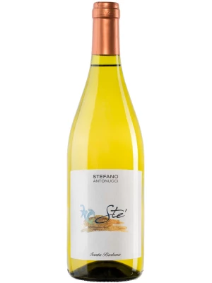 Вино Santa Barbara, Ste Verdicchio dei Castelli di Jesi DOC 0.75 л