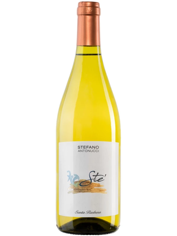 Santa Barbara, Ste Verdicchio dei Castelli di Jesi DOC