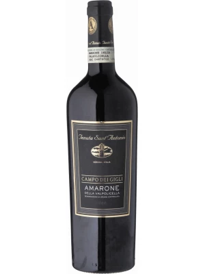 Вино Tenuta Sant'Antonio, Campo dei Gigli, Amarone della Valpolicella DOC 2008, 0.75 л