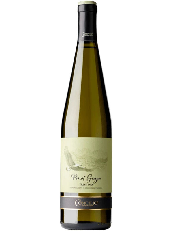 Concilio Pinot Grigio, Trentino DOC