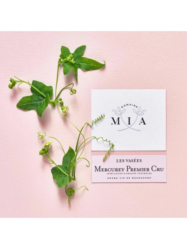 Domaine MIA, Les Vasees Mercurey Premier Cru AOC