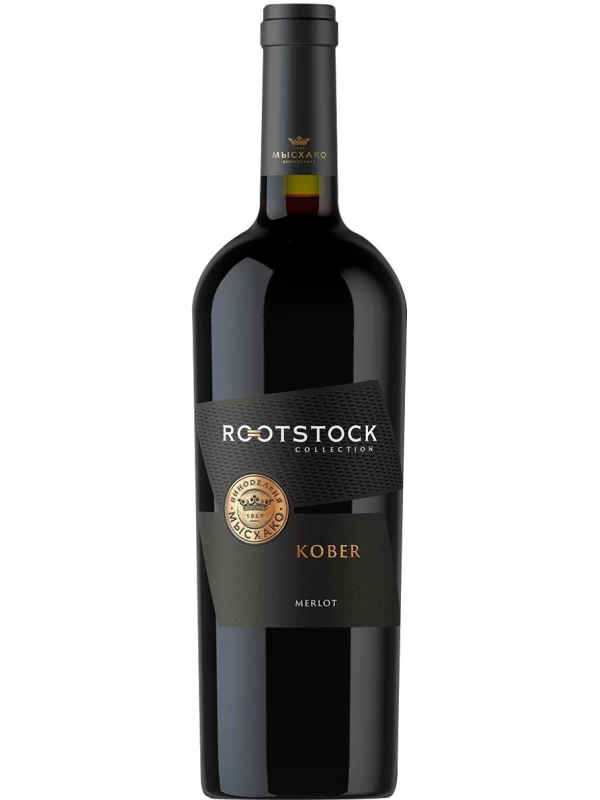 Myskhako, Rootstock Kober Merlot