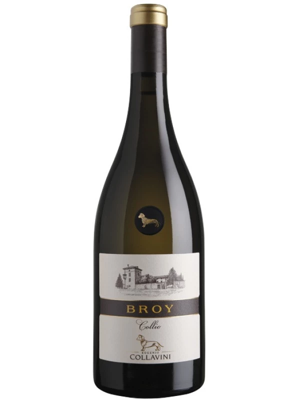 Eugenio Collavini, Broy, Collio DOC