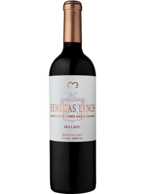 Вино Benegas Lynch Malbec, Mendoza 2019, 0.75 л