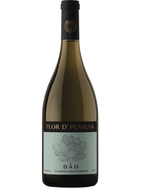 Flor D'Penalva Colheita Selecionada Branco, Dao DOC