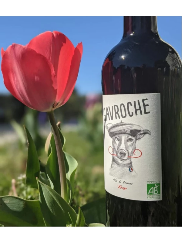 Chateau L'Ermitage, Gavroche Rouge VdF