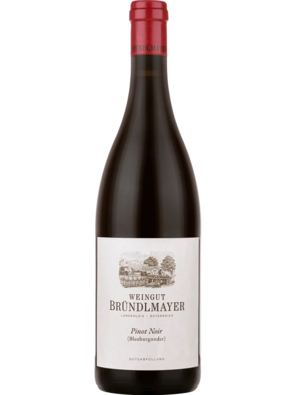 Weingut Brundlmayer, Pinot Noir (Blauburgunder)