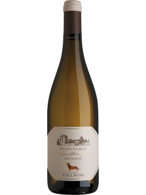 Вино Eugenio Collavini, Blanc Fumat Sauvignon, Collio DOC 2020, 0.75 л
