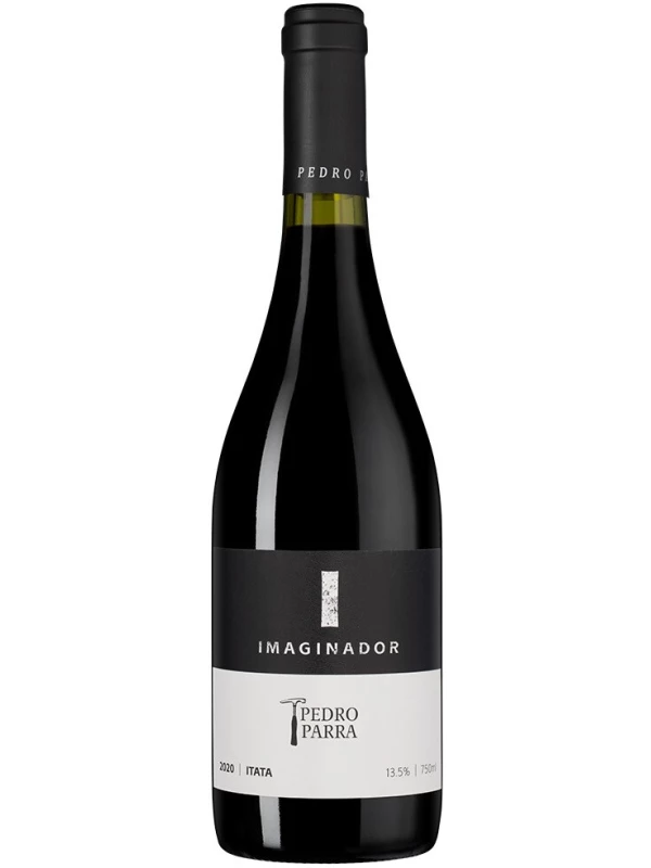Pedro Parra y Familia, Imaginador
