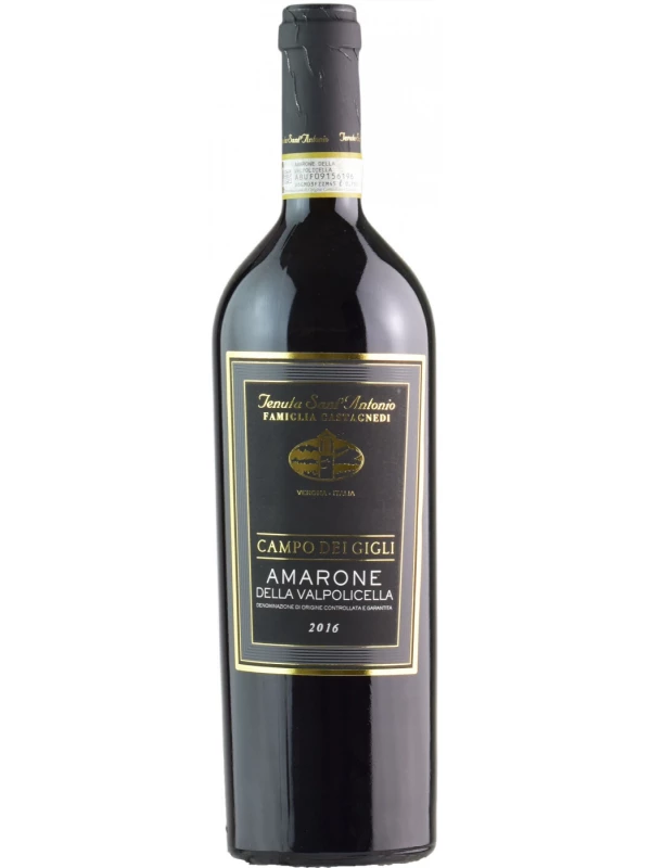 Tenuta Sant'Antonio, Campo dei Gigli, Amarone della Valpolicella DOC