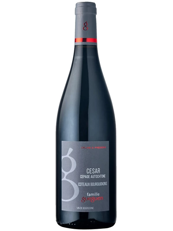 Celine & Frederic Gueguen, Cesar Coteaux Bourguignons AOC