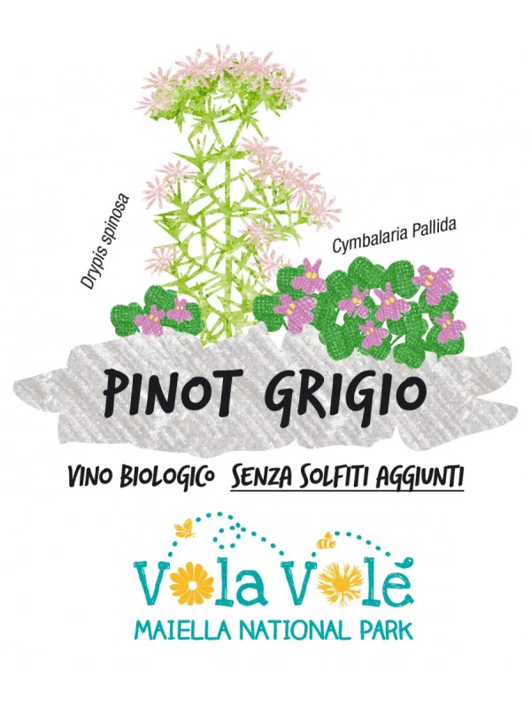 Cantina Orsogna, Vola Vole Maiella National Park Pinot Grigio, Terre di Chieti IGP