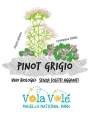 Cantina Orsogna, Vola Vole Maiella National Park Pinot Grigio, Terre di Chieti IGP — фото 2