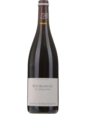 Вино Alain Burguet, Bourgogne Les Pince Vin 2017, 0.75 л