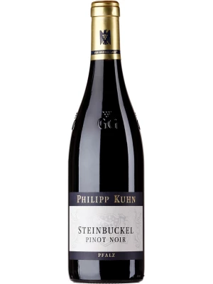 Вино Philipp Kuhn, Steinbuckel GG Pinot Noir 2017, 0.75 л