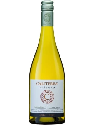 Вино Sauvignon Blanc Tributo DO 2020, 0.75 л